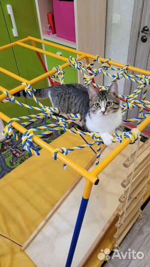 Детский спортивный комплекс Ранний Старт Люкс