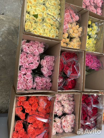 Роза, букеты