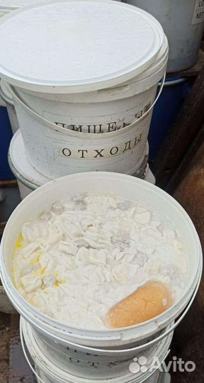 Пищевые столовые отходы