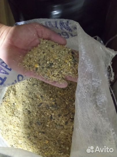 Корм для курей