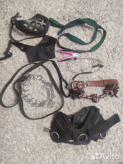 Аксессуары для собак