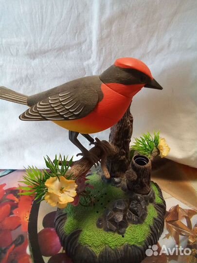 Сувенир Поющая птичка
