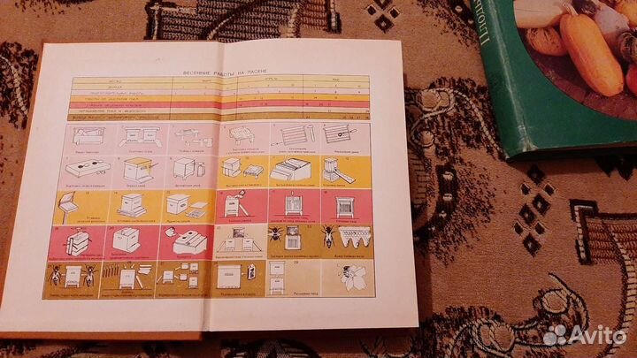 П.И.Тименский Сезонные работы в пчеловодстве. Плод