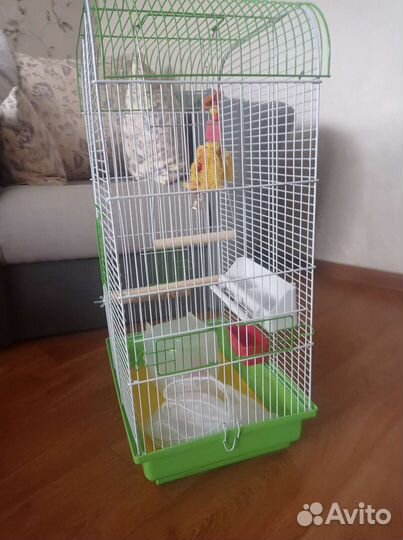 Клетка для попугая карелла