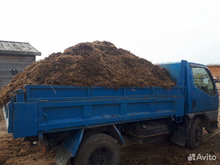 Конский перегной, навоз