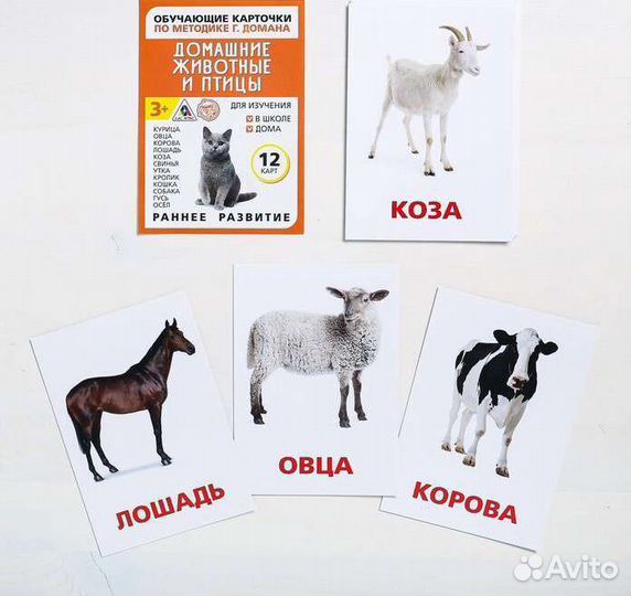 Карточки методика домана