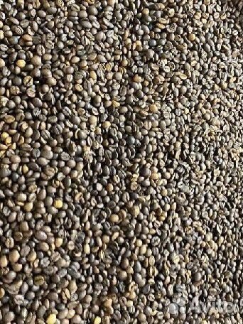 Обжаренный кофе в зернах арабика