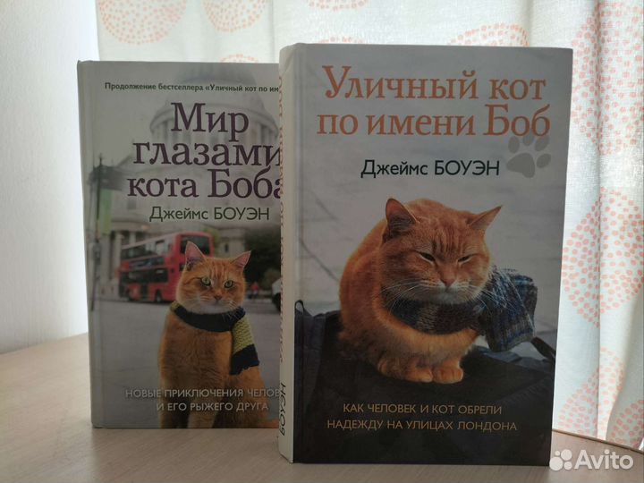 Книга уличный кот по имени Боб Джеймс Боуэн