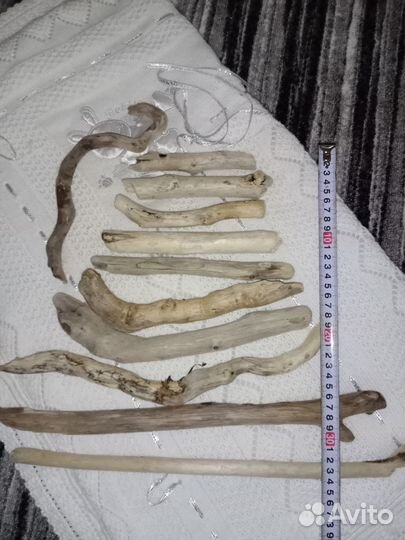 Дрифтвуд палочки из моря много разных