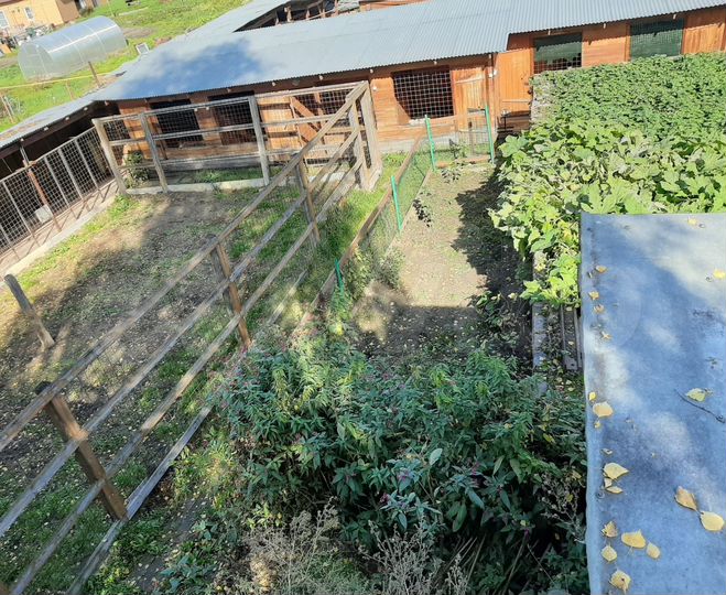 Дом 31 м² на участке 10 сот.