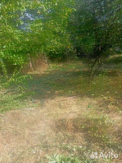 Покос травы.вспашка мотоблоком.расчистка участка