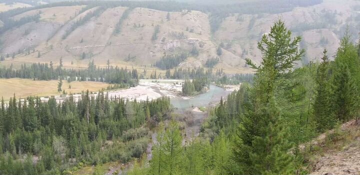 Участок 42,9 га (СНТ, ДНП)