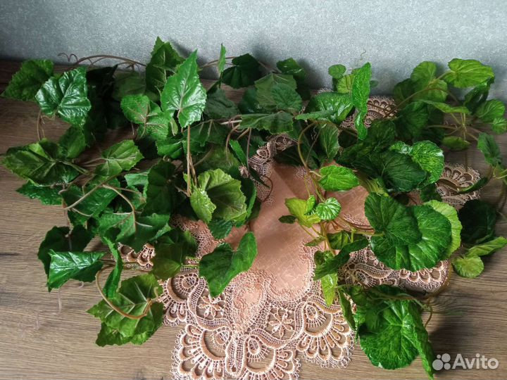 Цветок зелень