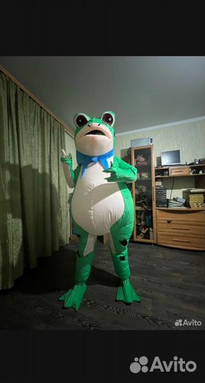 Надувные костюмы в аренду
