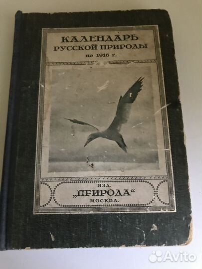 Календарь русской природы 1916 г