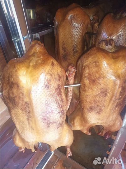 Гусь вяленый Гусь копченый Утки Казылык