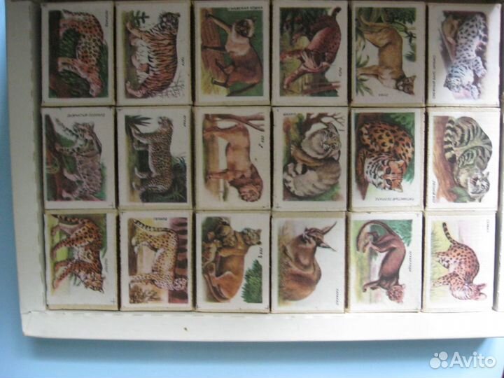 Спичечные этикетки, коробки и наборы