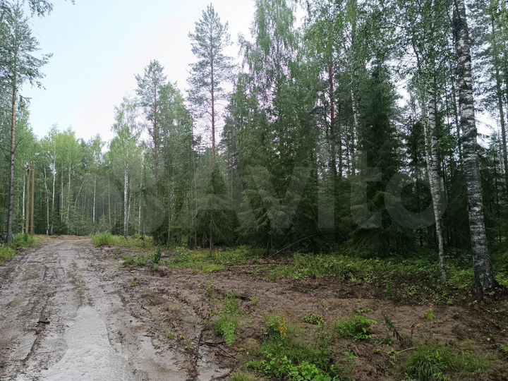 Участок 20 сот. (ИЖС)