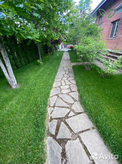 Рулонный газон универсальный