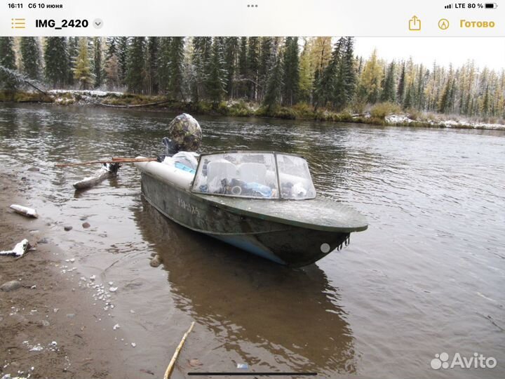 Южанка 2