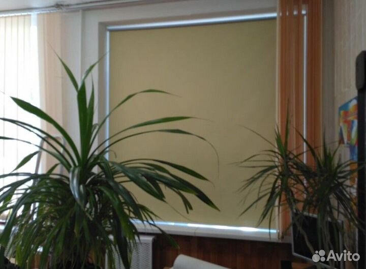 Рулонные шторы O5209-J7985