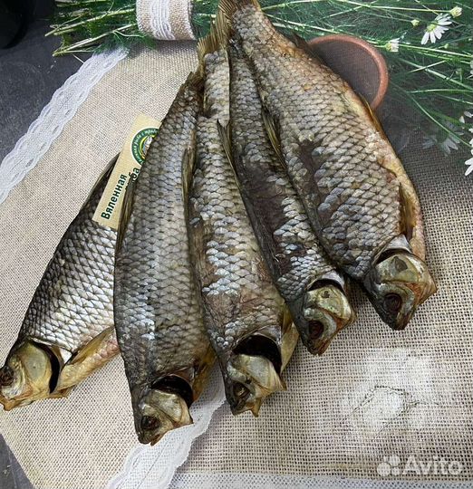 Плотва вяленая оптом