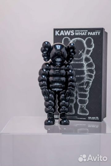 Kaws What Party black