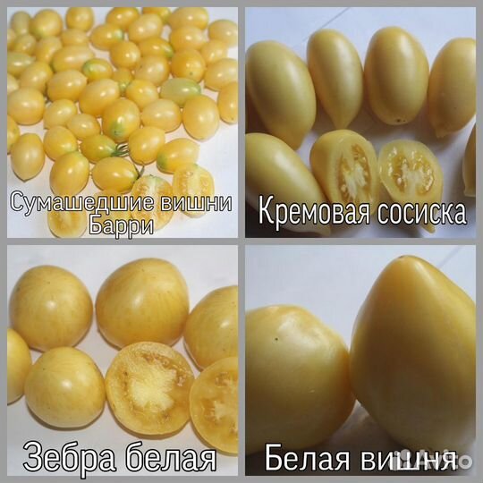 Семена томатов и перца на 2023 год