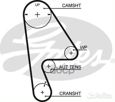 Ремень грм 5410XS Gates
