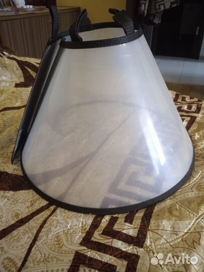 Защитный воротник на собаку