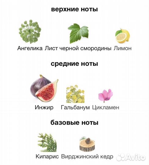 Духи Vilhelm Parfumerie Purple fig