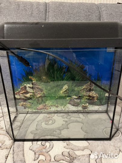 Аквариум