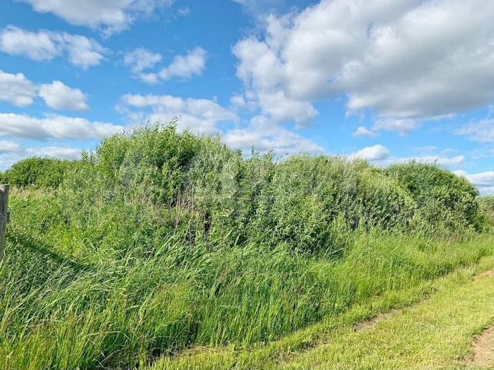 Участок 10 сот. (СНТ, ДНП)