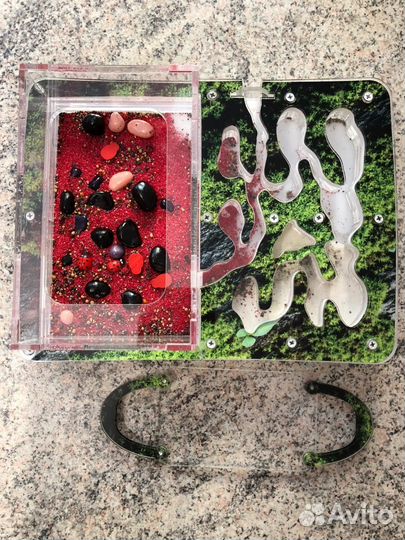 Муравьиная ферма бу