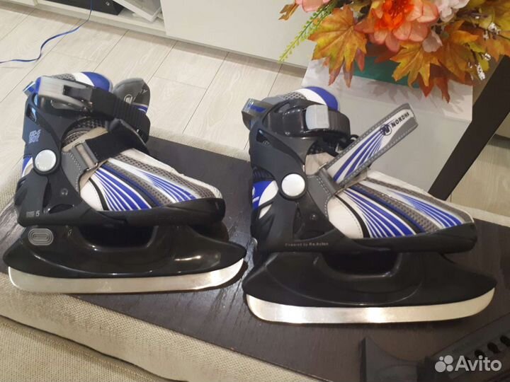 Коньки Nordway kids-5-BOY