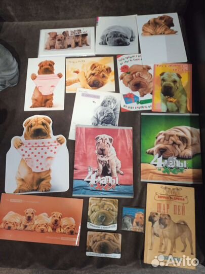 Коллекция шарпеев