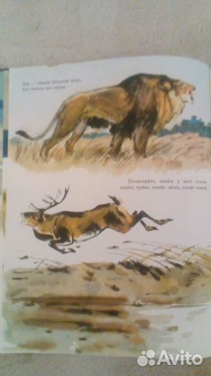 Книга Русский язык в картинках 1971 г