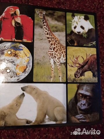 Сборник о живой природе