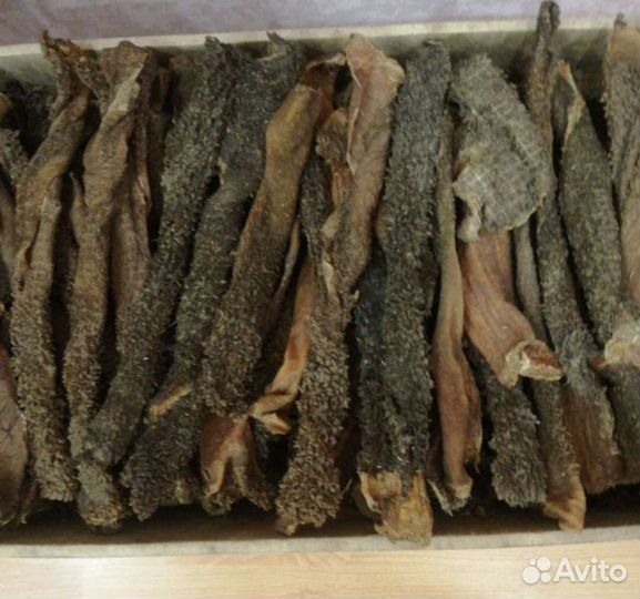 Лакомство для собак