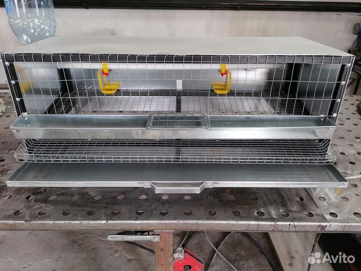 Клетки для перепелов