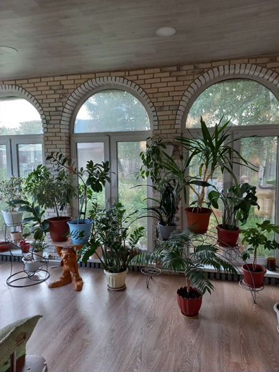 Дом 110 м² на участке 13,6 сот.