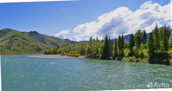 Тур путевка Алтай лето экспедиция до 7-ми дн