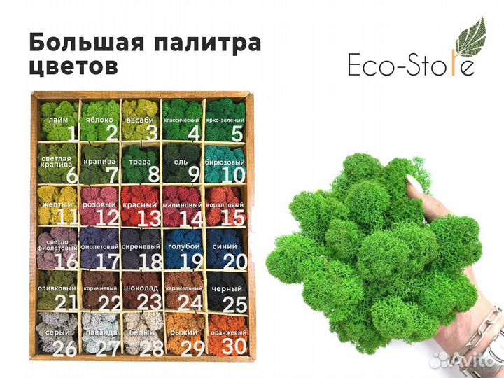 Стабилизированный мох. Ягель