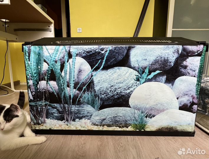 Аквариум