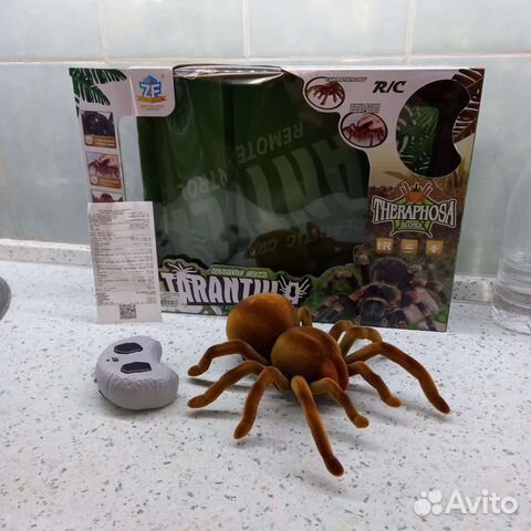Паук на пульте управления