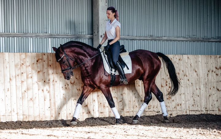 Безопасные лошади и пони