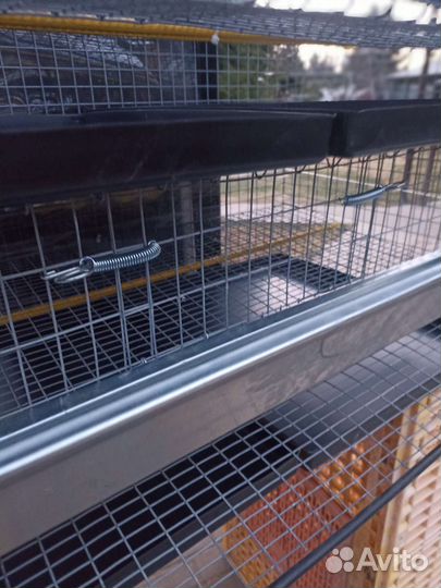 Клетка для перепелов на 60 перепелов