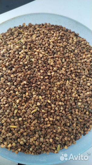 Гречневая крупа, Рис дроблëный некондиция