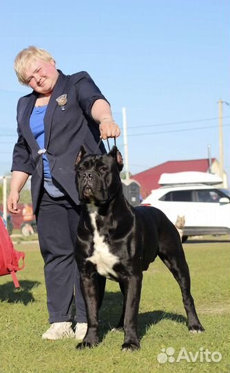 Уход за животными