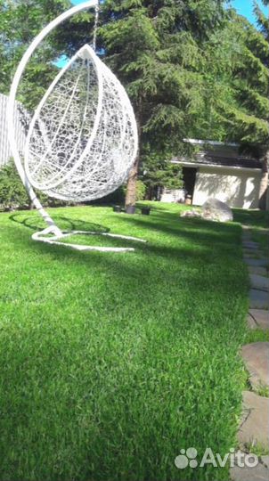 Рулонный газон